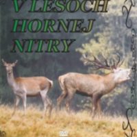 DVD V lesoch hornej Nitry