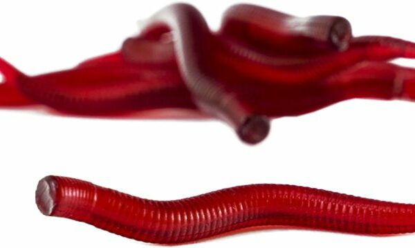 Umelá plávajúca nástraha Earthworm 3