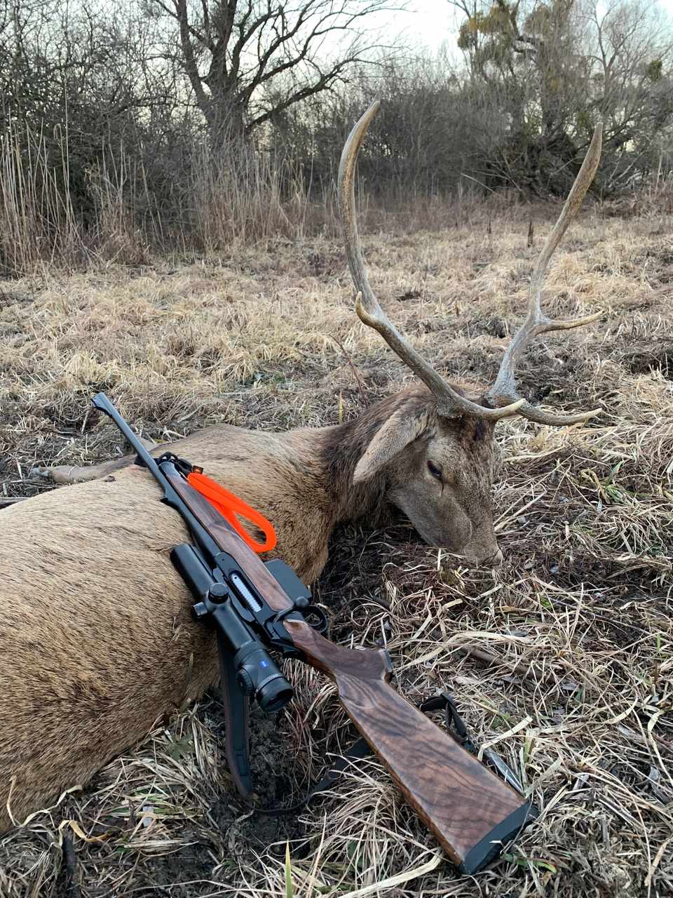 Neoprénový remeň Sauenhammer SH2 oranžový – Obrázok 3